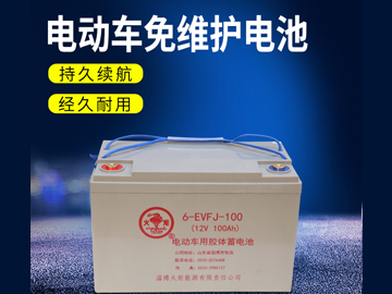 電動(dòng)車(chē)免維護(hù)電池